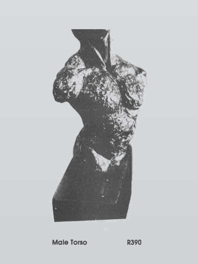 Male Torso
