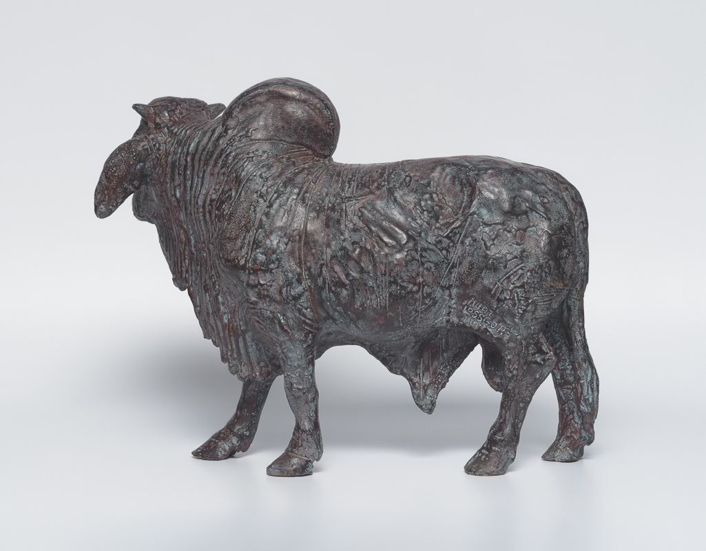 Brahman Bull — Humped bull study honouring farm power