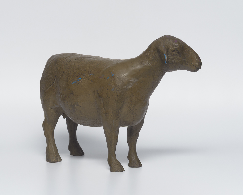 Merino Ewe — Gentle ewe, attentive posture, soft curves